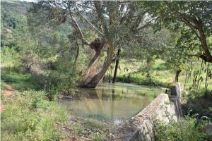 A Sand Dam Providing Much Needed Water All Year Round